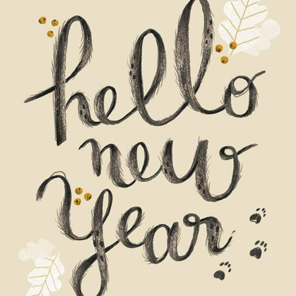 Meet your Posher, Carmen